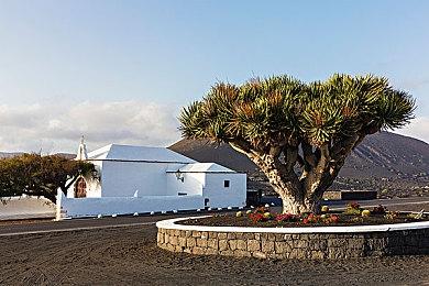 《小马宝莉：西风高地谜团》Steam页面上线 支持中文